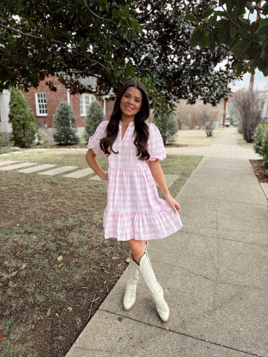 Pretty In Pink Gingham Dress
